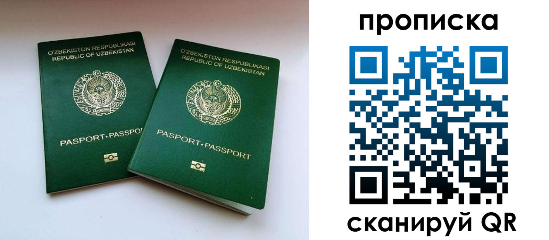 прописка поиск в Кандалакше
